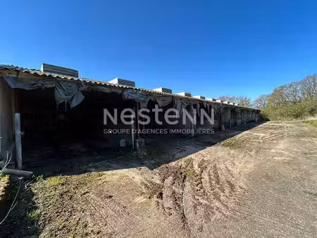hangars à questembert - vaste terrain d'1 hectare - 2 bâtiments