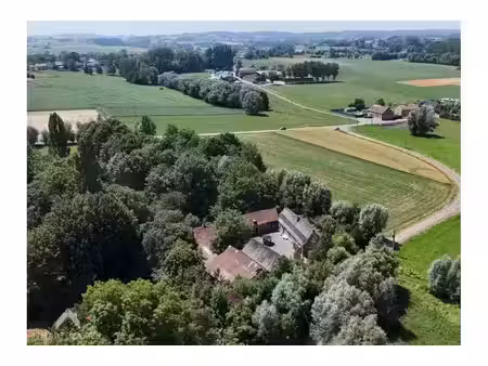 maison à vendre à bracles 2 ellezelles (rbw76873)