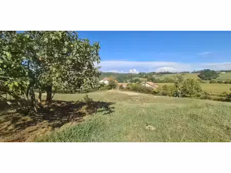 terrain briscous (64)