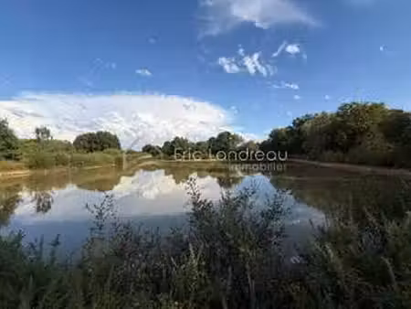 vente terrain à talmont-saint-hilaire (85440) : à vendre / talmont-saint-hilaire