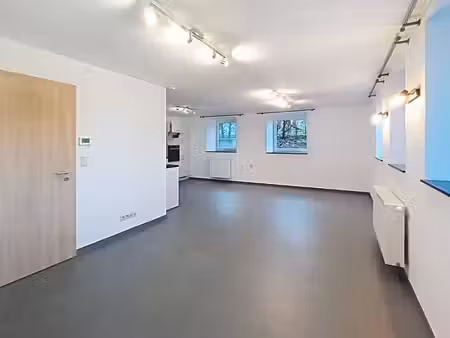bel appartement duplex 2 chambres très lumineux