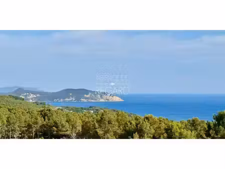 propriété avec piscine en bord de mer la ciotat (13)