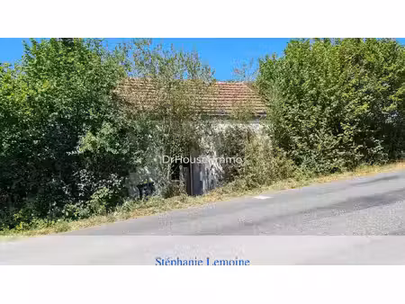 stéphanie lemoine dr house immo