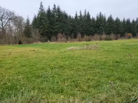 terrain constructible viabilisé à vendre