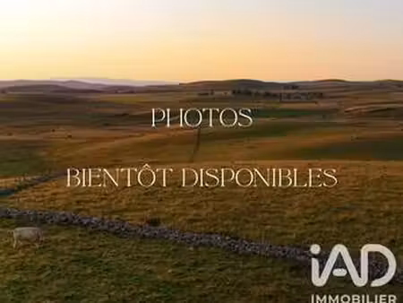 vente maison à aumont-aubrac (48130) : à vendre / 239m² aumont-aubrac