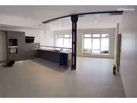 très bel appartement  type loft
