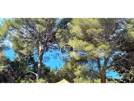 maison avec piscine et terrasse sète (34)