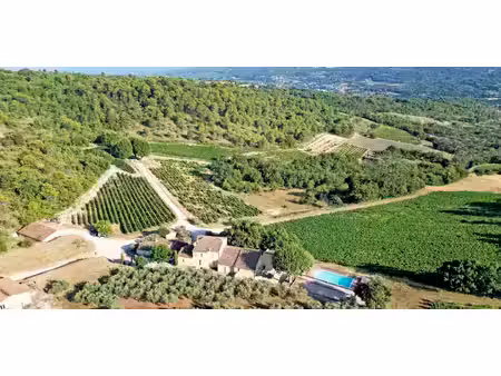 vignoble vaucluse (84)