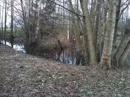 vente terrain de loisirs  gournay