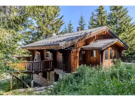 plagne 1800 - chalet individuel