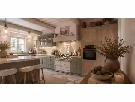 maison avec piscine et terrasse saint-rémy-de-provence (13)