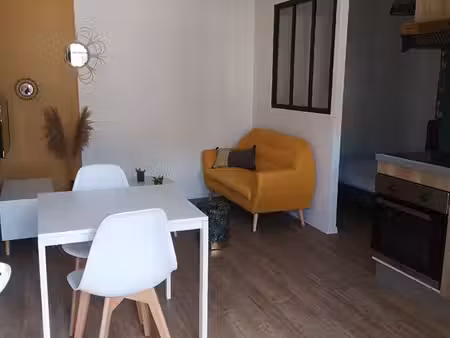 très beau loft parkinf terrasse et eau comprise