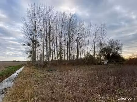 a louer jardin terre saujon (sablonceaux)