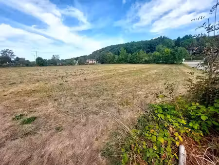 vente terrain 6960 m² à saint-martory (31360)  55 000 €