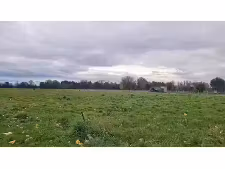vente terrain 5140 m² à saint-pierre-d'eyraud (24130)  59 000 €