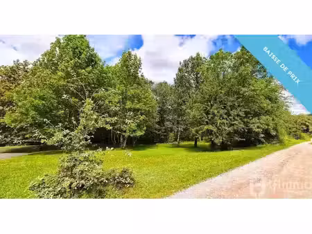 vente terrain 1300 m² à epinal (88000)  59 000 €