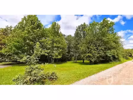 vente terrain 1300 m² à epinal (88000)  65 000 €