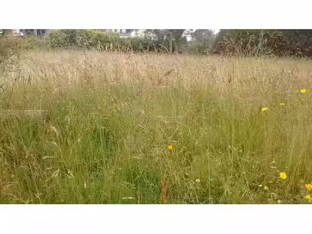 vente terrain 410 m² à plouzane (29280)  95 000 €