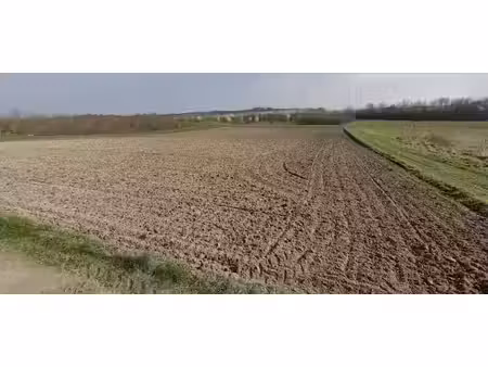 vente terrain à batir 467 m² à witry-lès-reims (51420)  135 760 €
