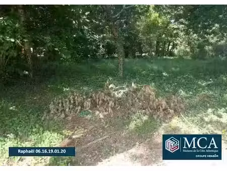 vente terrain 740 m² à lugos (33830)  128 000 €