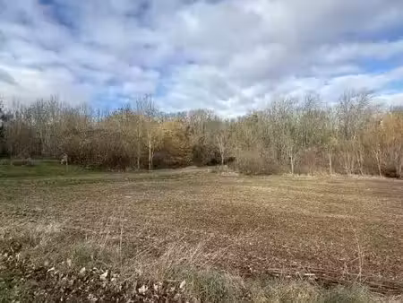 vente terrain à batir 1000 m² à rosnay (51390)  155 000 €