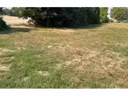 vente terrain à batir 959 m² à val-de-vesle (51360)  159 194 €