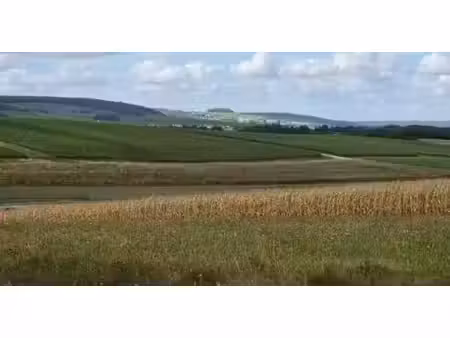 vente terrain à batir 1452 m² à sermiers (51500)  230 000 €