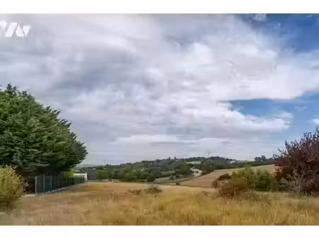 vente terrain à batir 4418 m² à quint-fonsegrives (31130)  750 000 €