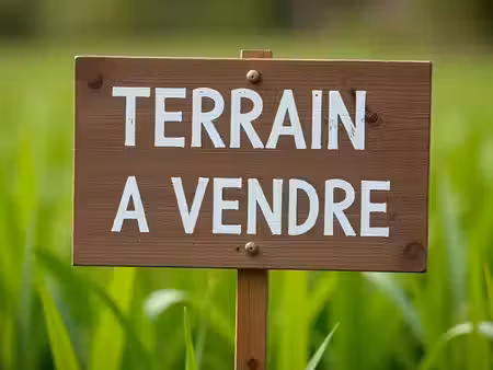 vente terrain 1551 m² saint-claude (97120)