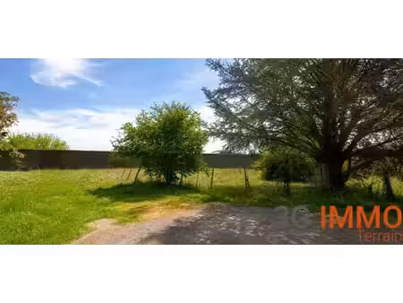 terrain constructible
