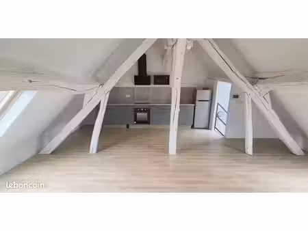 ◊ à louer – appartement f2 spacieux et lumineux avec terrasse  jardin et cave