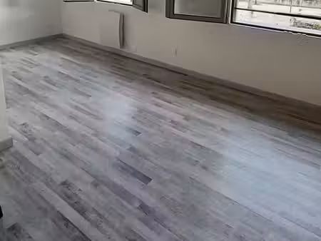 appartement t3 rénové 67m2