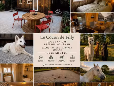 ? le cocon de filly – lodge nature avec animaux  pétanque & proche du lac léman