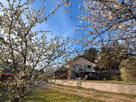 maison rénovée 130 m² – 2 000 m² de terrain clos – vue dégagée – ambierle