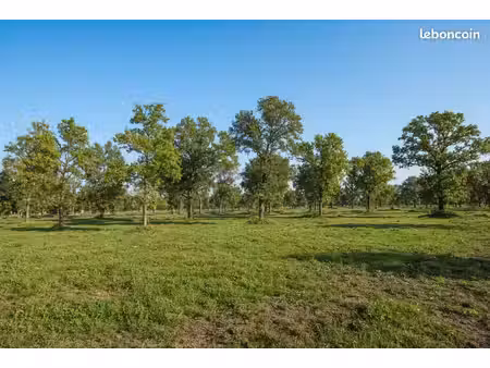 coupe de bois 4500 m² frangy