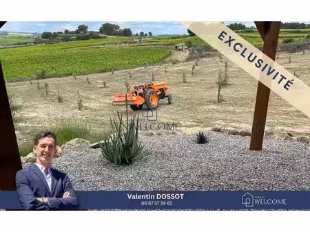 terrain agricole de 18 101 m² avec oliviers  hangar et vue dég