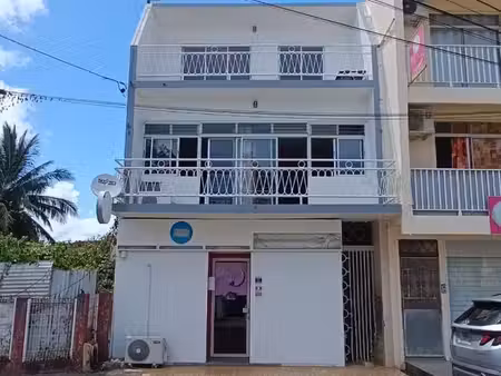 immeuble le robert 7 pièce(s) 212 34 m2 immeuble à fort potentiel | local loué + habitatio