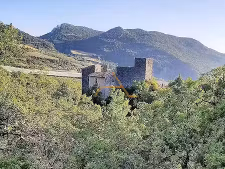 vente château 8 pièces 200 m² à saint-sauveur-gouvernet (26110)  644 000 €