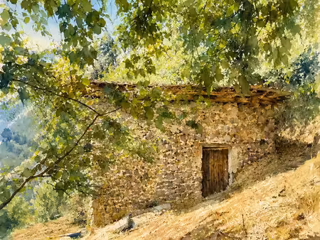 belvedere - grange a restructurer sur terrain 6730 m²