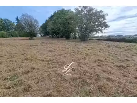 vente - terrain