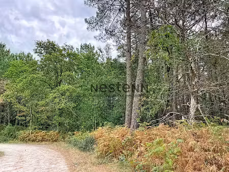 bois de 17 422 m² en zone naturelle et forestière