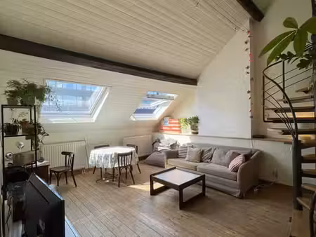 appartement 2 chambres avec terrasse - quartier botanique