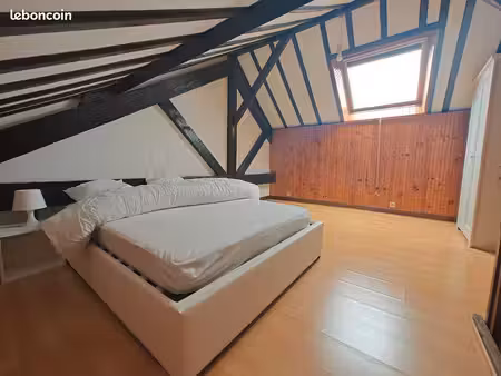 duplex meublé centre ville 44m2