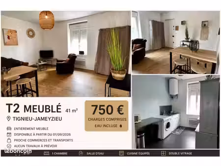 appartement t2 meublé – tignieu-jameyzieu – 41 m² – très bon état