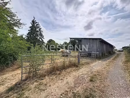 terrain avec hangar