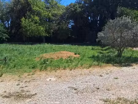 terrain 420 m² alleins