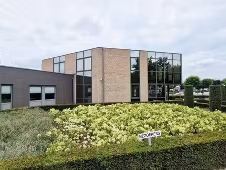 bien professionnel à louer à bree € 795 (lrdjo) - roosen dirkx | zimmo