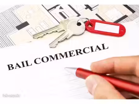local commercial lyon 1