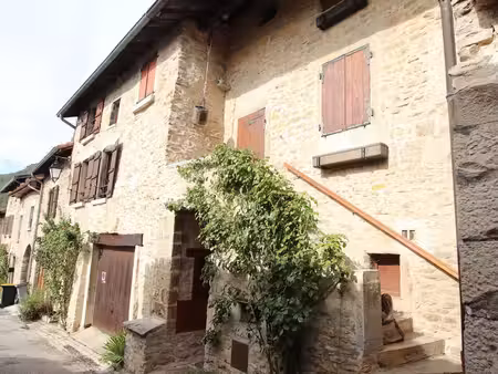maison à vendre saint-sorlin-en-bugey
