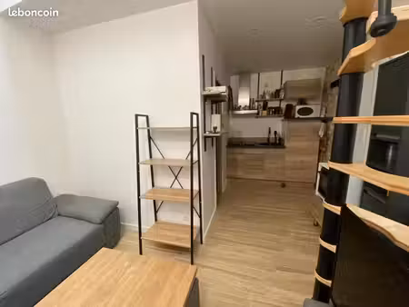 duplex/triplex 1 pièce 20 m²